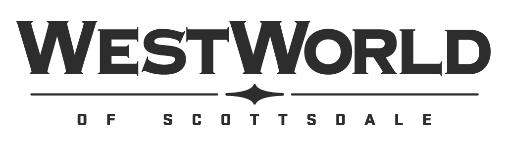 The image shows Westworld written in bold, stylized capital letters with a horizontal line and small decorative symbol below. Under the line, by nightfall is written in smaller capital letters. The overall design is monochromatic.